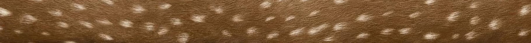 Plp banner placeholder image