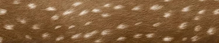 Plp banner placeholder image